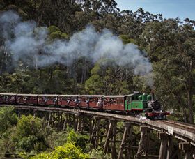 Puffing Billy Steam Railway - Accommodation Gladstone 0