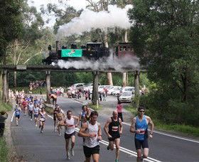 Puffing Billy Steam Railway - Accommodation Gladstone 7
