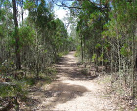 Goonoowigall State Conservation Area - Accommodation Gladstone 1