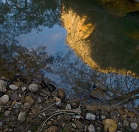 Abercrombie Karst Conservation Reserve - Accommodation Gladstone