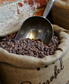 Bright Chocolate - Accommodation Gladstone 5