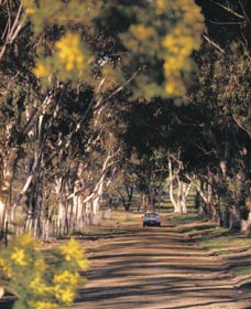 Wickepin ACT Accommodation Gladstone
