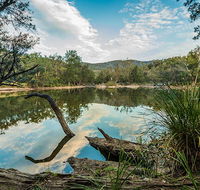 Warrabah National Park - Accommodation Gladstone