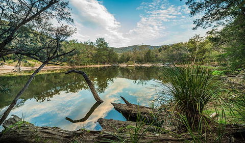 Warrabah National Park - Accommodation Gladstone 0