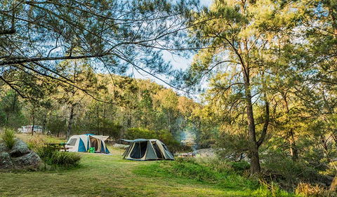 Warrabah National Park - Accommodation Gladstone 1