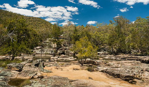 Warrabah National Park - Accommodation Gladstone 3