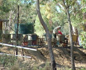 7 Oaks Sapphire Fossicking - Accommodation Gladstone 0