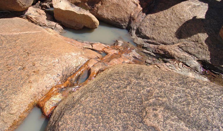 Stannifer ACT Accommodation Gladstone