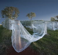 Toppers Mountain Wines - Accommodation Gladstone
