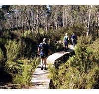 Hume and Hovell Walking Track - Henry Angel Trackhead - Accommodation Gladstone