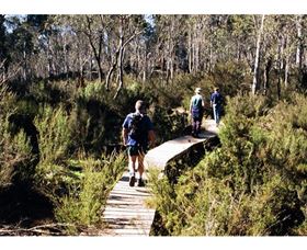 Hume And Hovell Walking Track - Henry Angel Trackhead - Accommodation Gladstone 0
