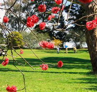 The Yass Golf Club - Accommodation Gladstone