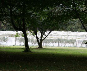Staindl Wines - Accommodation Gladstone 0