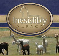 Marchmont Park Alpacas - Accommodation Gladstone