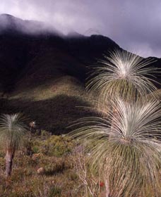 Bluff Knoll, Stirling Range National Park - Accommodation Gladstone 3