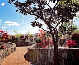 The Water Garden At Mayfield Garden - Accommodation Gladstone 2