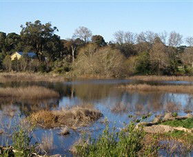 Coolart Wetlands And Homestead - Accommodation Gladstone 0