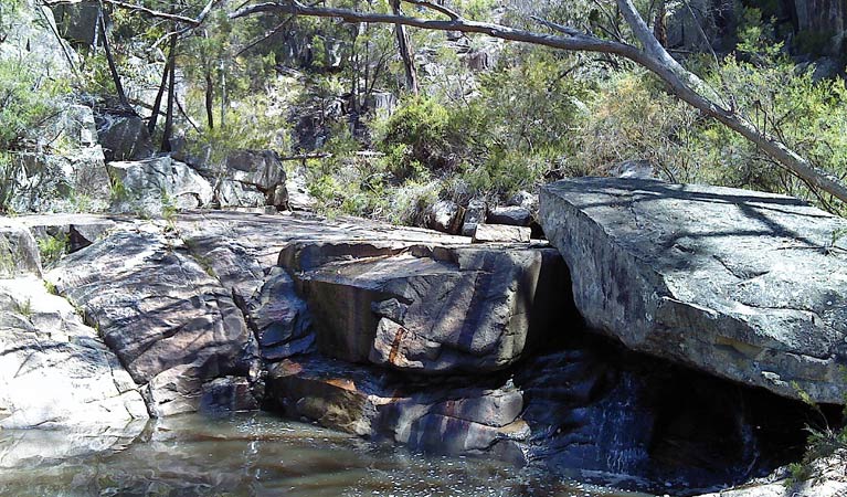 Emmaville NSW Accommodation Gladstone