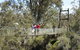 Avon Park - thumb 0