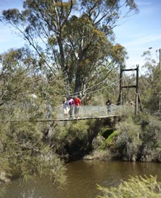 Avon Park - Accommodation Gladstone 0