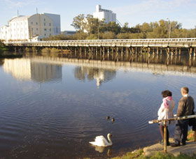 Avon River - Accommodation Gladstone 1