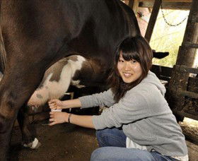 Warrook Farm - Accommodation Gladstone 2