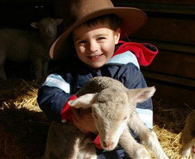 Warrook Farm - Accommodation Gladstone 1