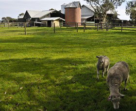 Warrook Farm - Accommodation Gladstone 4