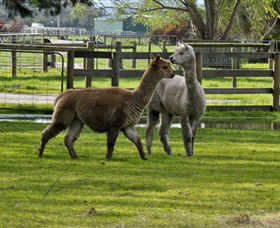 Warrook Farm - Accommodation Gladstone 6