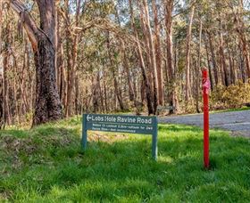 Lobs Hole Ravine 4WD Trail - Accommodation Gladstone 0