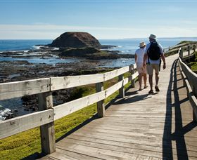 Phillip Island Nature Parks - Accommodation Gladstone 3