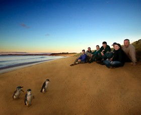 Phillip Island Nature Parks - Accommodation Gladstone 7