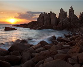 Phillip Island Nature Parks - Accommodation Gladstone 6