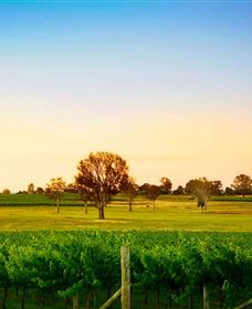 Canberra District Wineries - Accommodation Gladstone 0