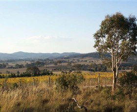 Yarrh Wines - Accommodation Gladstone 0