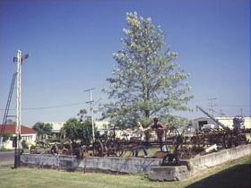 Clifton Historical Museum - Accommodation Gladstone 1