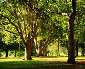 Queens Park, Toowoomba - Accommodation Gladstone 1