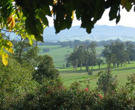Brandy Creek Wines & View Cafe - Accommodation Gladstone 5
