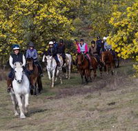 Burnelee Excursions on Horseback - Accommodation Gladstone