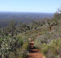 Mount Dale Walk Trail - Accommodation Gladstone