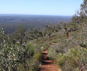 Mount Dale Walk Trail - Accommodation Gladstone 0