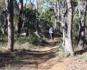 Mount Dale Walk Trail - Accommodation Gladstone 2