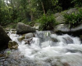 Washpool National Park - Accommodation Gladstone 0