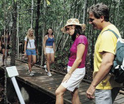 Toowoomba Water Bird Habitat - Accommodation Gladstone 1