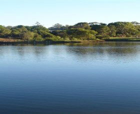 Toowoomba Water Bird Habitat - Accommodation Gladstone 2