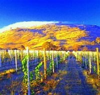 Surveyors Hill Winery - Accommodation Gladstone