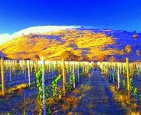 Surveyors Hill Winery - Accommodation Gladstone 0
