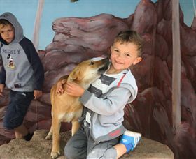 Maru Koala And Animal Park - Accommodation Gladstone 3