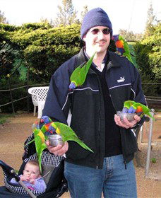 Canberra Walk In Aviary - Accommodation Gladstone 0