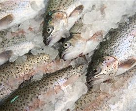 Arc-en-Ciel Trout Farm - Accommodation Gladstone 3